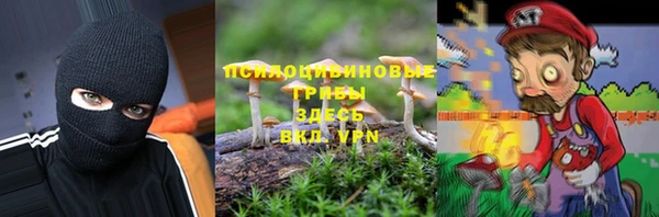 не бодяженный Гусев
