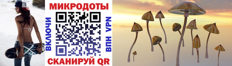 наркотики  Кострома  Галлюциногенные грибы Magic Shrooms 
